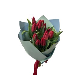 Buchet de 13 lalele 1 fir gipsofila, 2 fire pistacia, folie decor